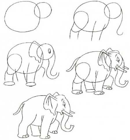 Слон 6
